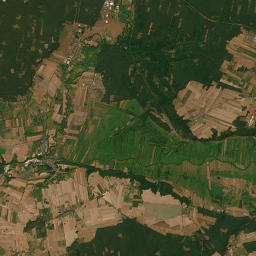 Satelita
