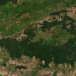 Satelita