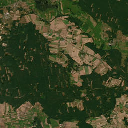 Satelita