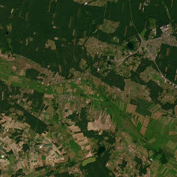 Satelita