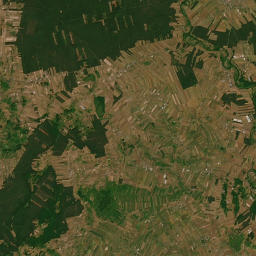 Satelita