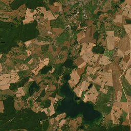 Satelita