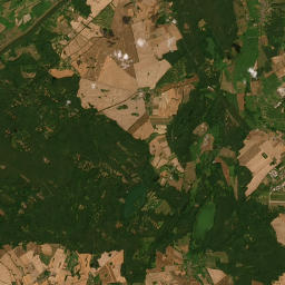 Satelita