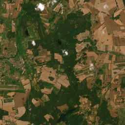 Satelita