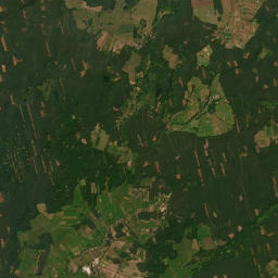 Satelita