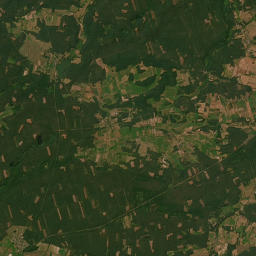 Satelita
