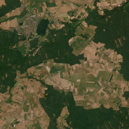 Satelita