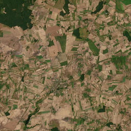 Satelita