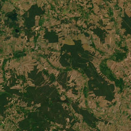 Satelita