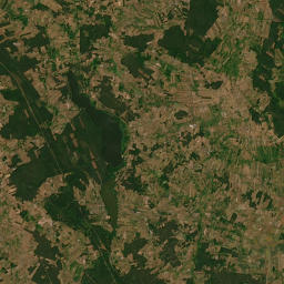 Satelita