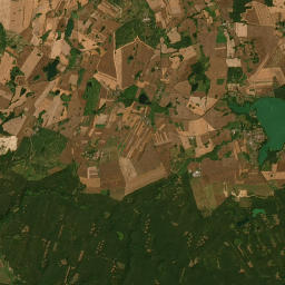 Satelita