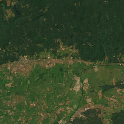 Satelita