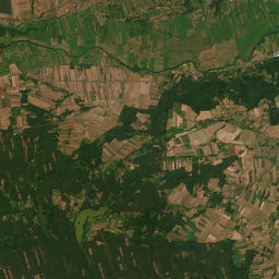 Satelita
