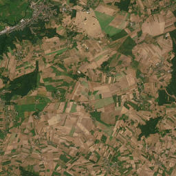 Satelita
