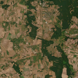 Satelita