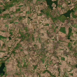 Satelita