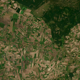 Satelita