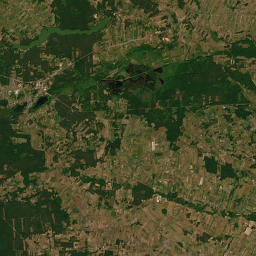 Satelita