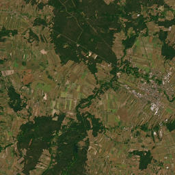 Satelita
