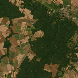 Satelita