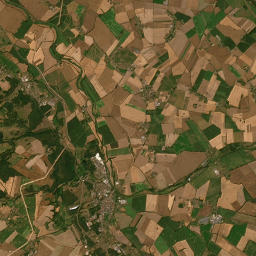 Satelita