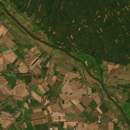 Satelita