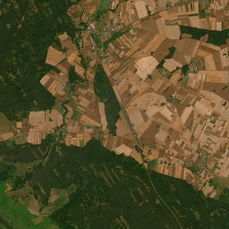 Satelita