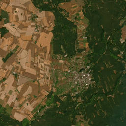 Satelita