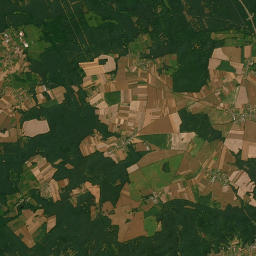 Satelita