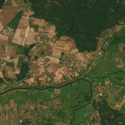 Satelita