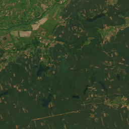 Satelita