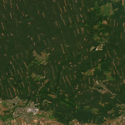 Satelita
