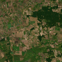 Satelita