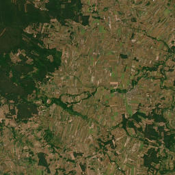 Satelita