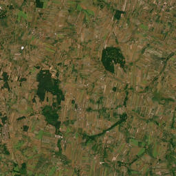 Satelita