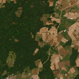 Satelita