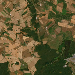 Satelita