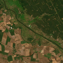 Satelita