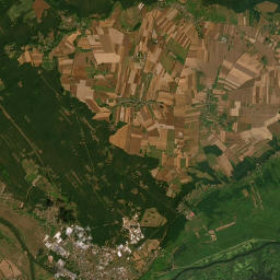 Satelita