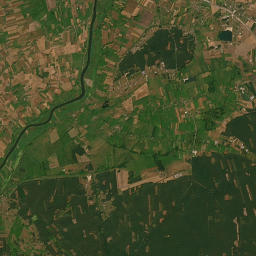 Satelita