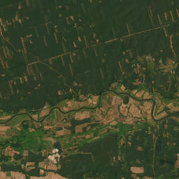 Satelita