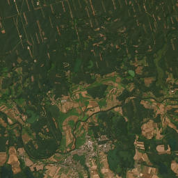 Satelita