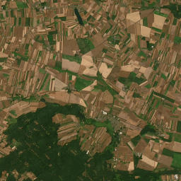 Satelita