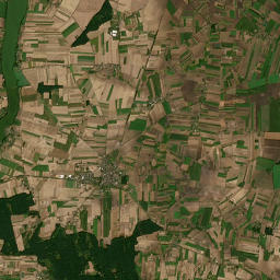 Satelita