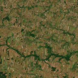 Satelita