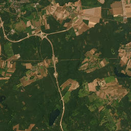 Satelita