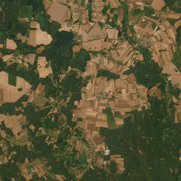Satelita