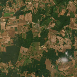 Satelita
