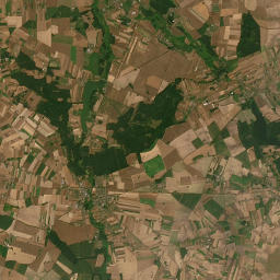 Satelita