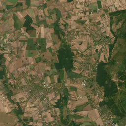 Satelita